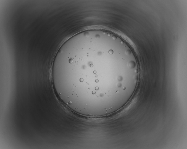 X0000101230953200806270943
