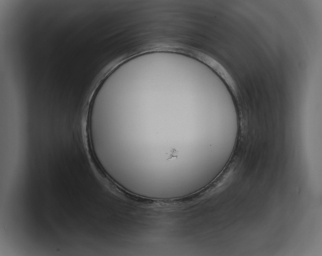X0000101230954200806270943