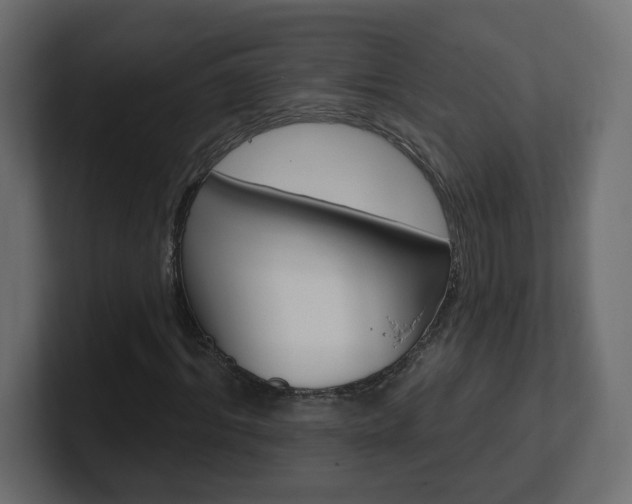 X0000101230964200806270942