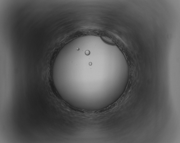 X0000101230965200806270942