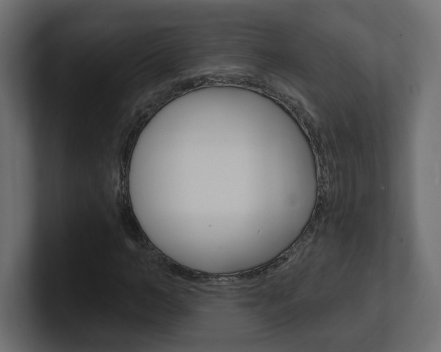 X0000101230966200806270942