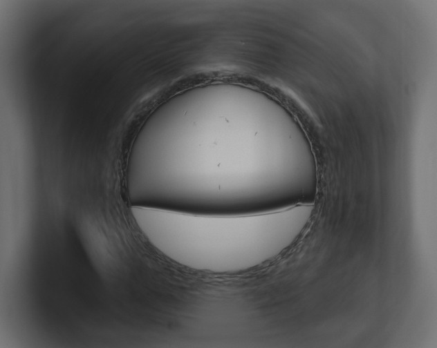 X0000101230967200806270942