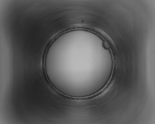 X0000101230969200806270942
