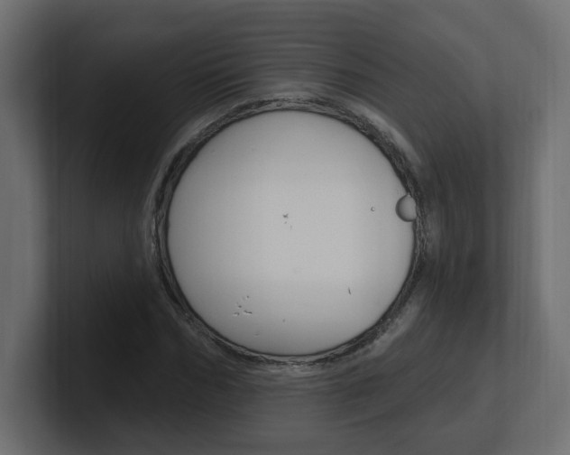 X0000101230970200806270942