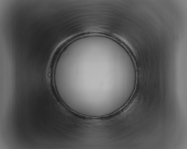 X0000101230971200806270942