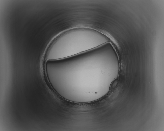 X0000101230972200806270942