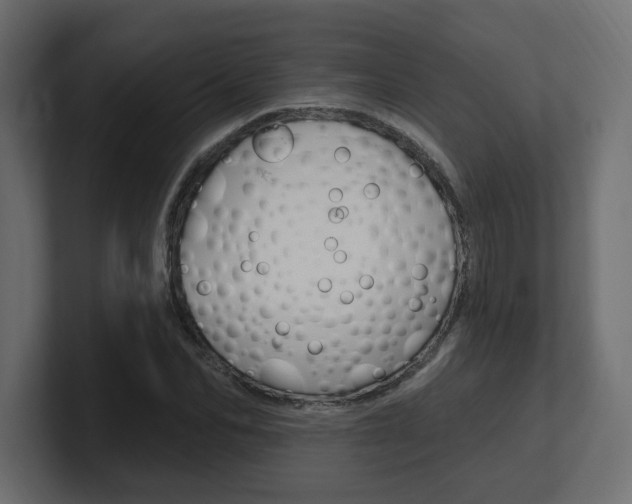 X0000101230974200806270942