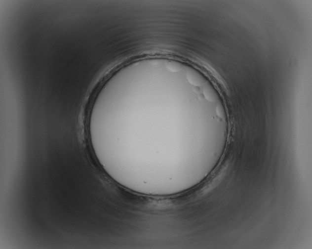 X0000101230978200806270942