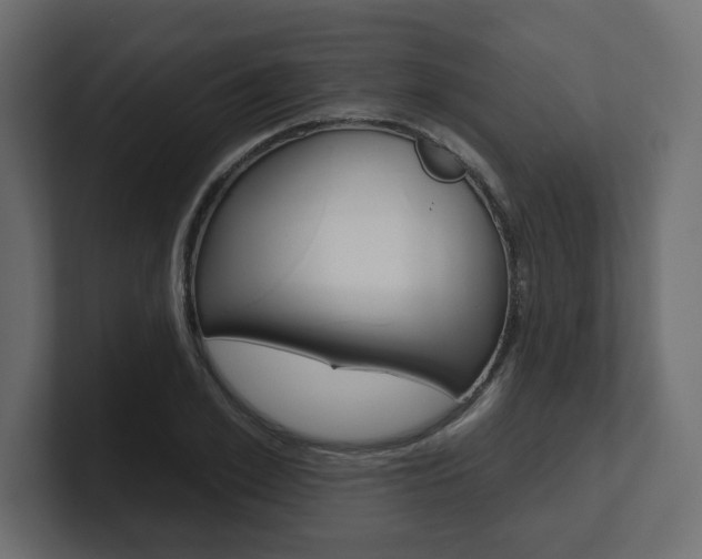 X0000101230981200806270942