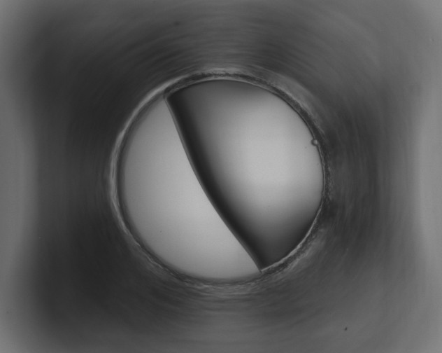 X0000101230984200806270942