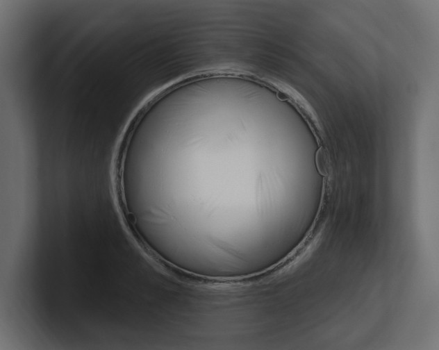 X0000101230989200806270942