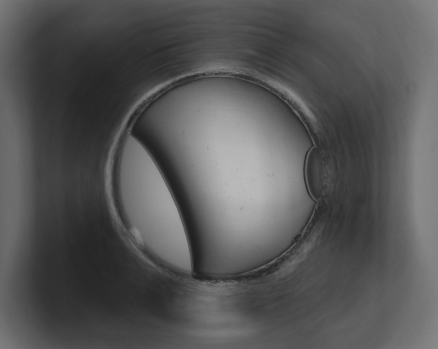 X0000101230991200806270942