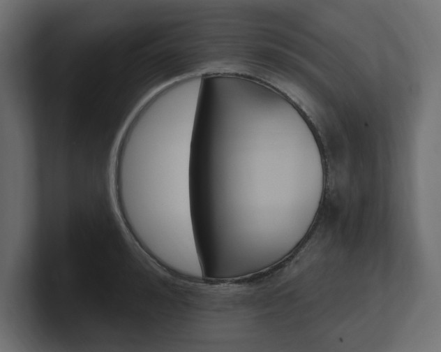 X0000101230992200806270942