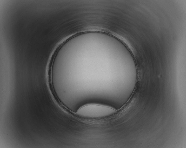 X0000101230995200806270942