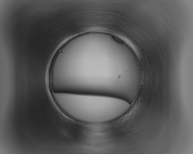 X0000101230999200806270942