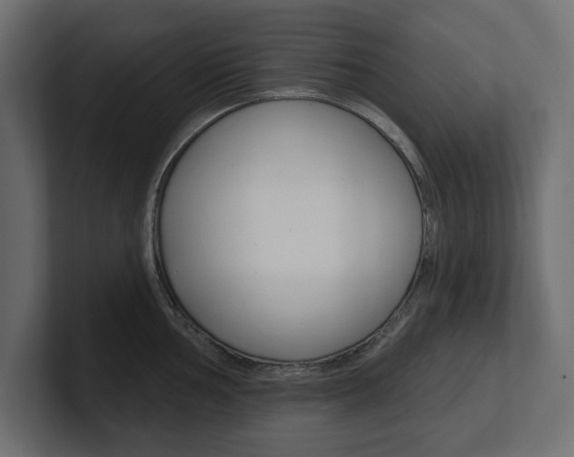 X0000101231002200806270942
