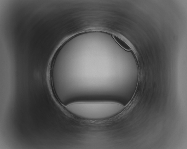 X0000101231005200806270941
