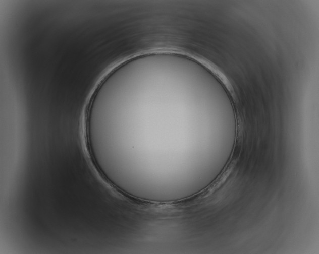 X0000101231006200806270941