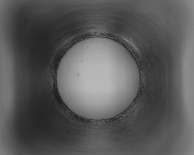 X0000101231015200806270941
