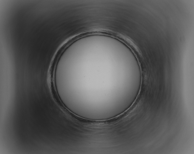 X0000101231024200806270941