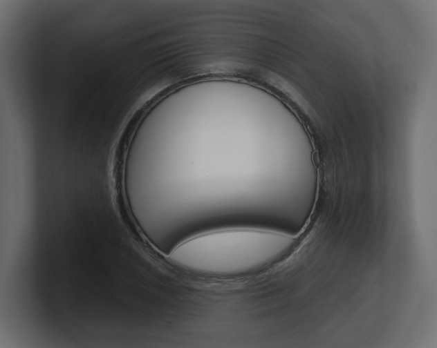 X0000101231026200806270941