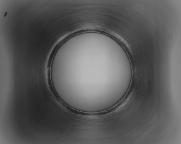 X0000101231029200806270941