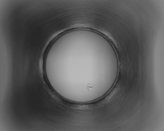 X0000101231030200806270941