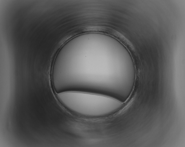 X0000101231033200806270941