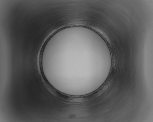 X0000101231039200806270941