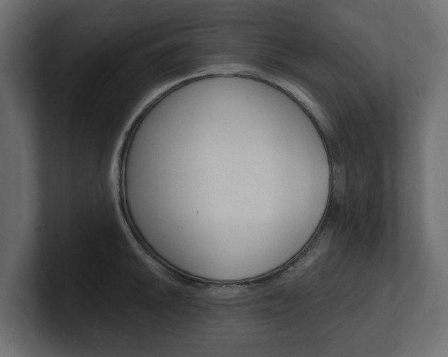 X0000101231046200806270941