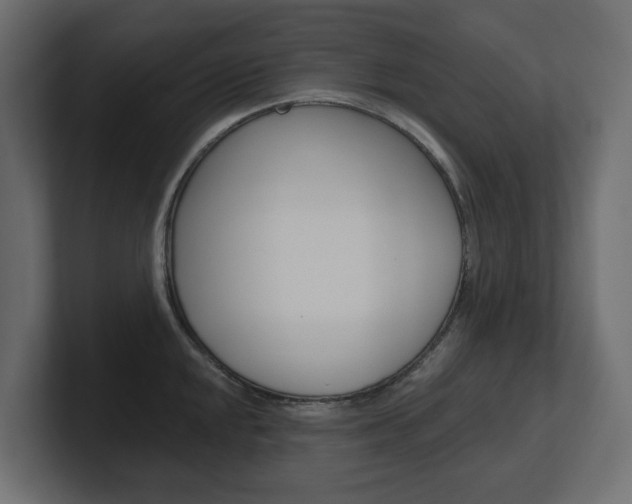 X0000101231048200806270941