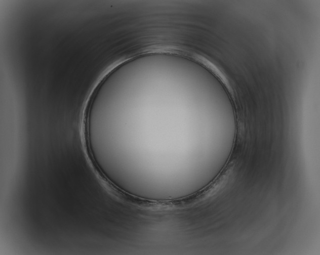 X0000101231050200806270941
