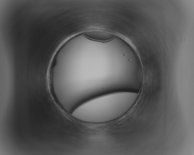 X0000101231056200806270941