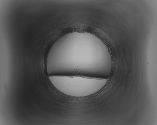 X0000101231058200806270941