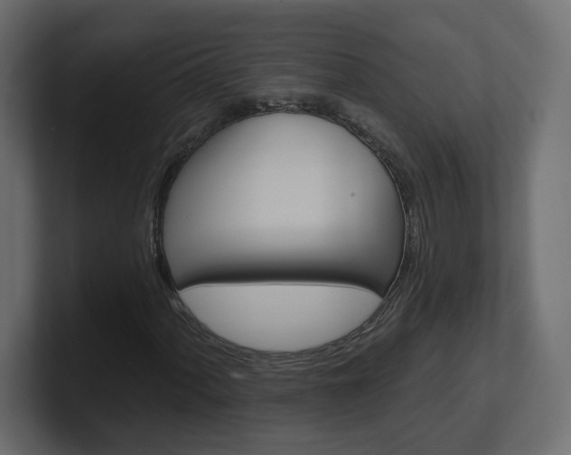 X0000101231060200806270941