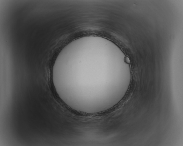 X0000101231061200806270941