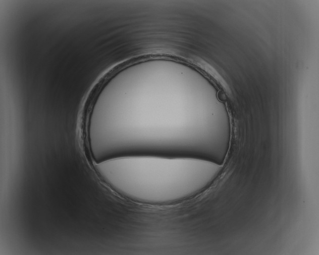 X0000101231068200806270941