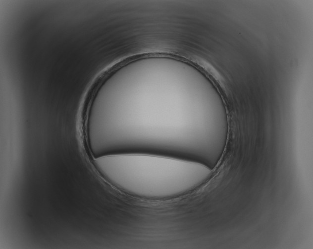 X0000101231072200806270941