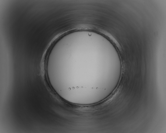 X0000101231075200806270941