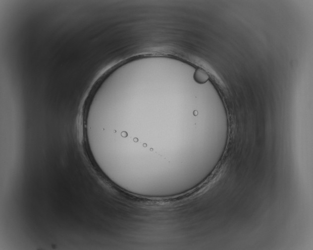 X0000101231079200806270940