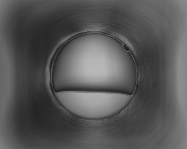 X0000101231080200806270940