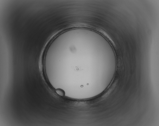 X0000101231082200806270940