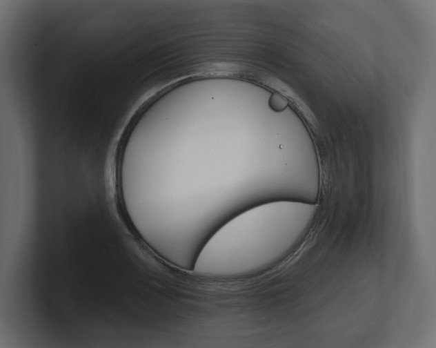 X0000101231083200806270940