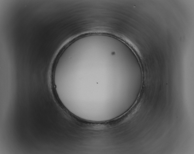 X0000101231085200806270940