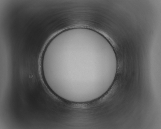 X0000101231086200806270940