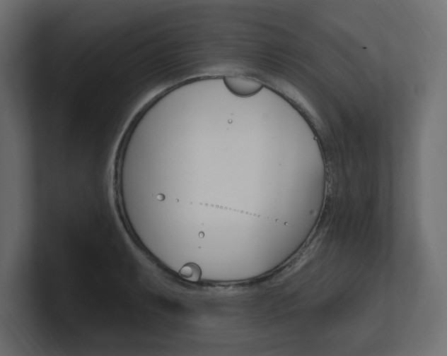 X0000101231087200806270940