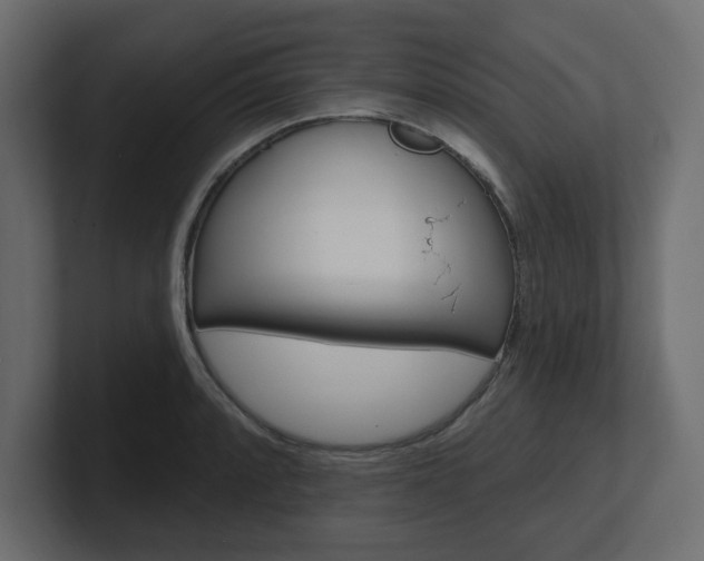 X0000101231088200806270940