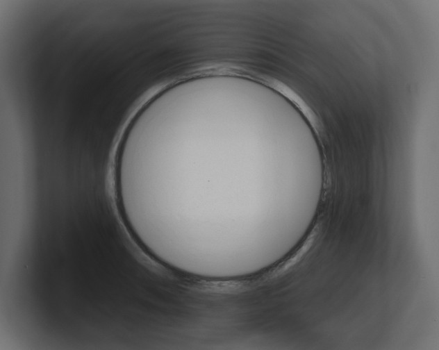 X0000101231090200806270940