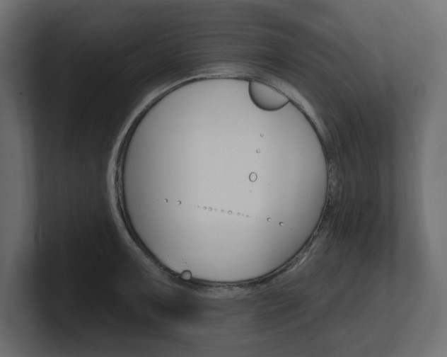 X0000101231091200806270940