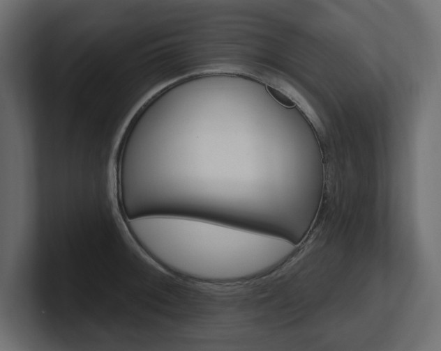 X0000101231092200806270940